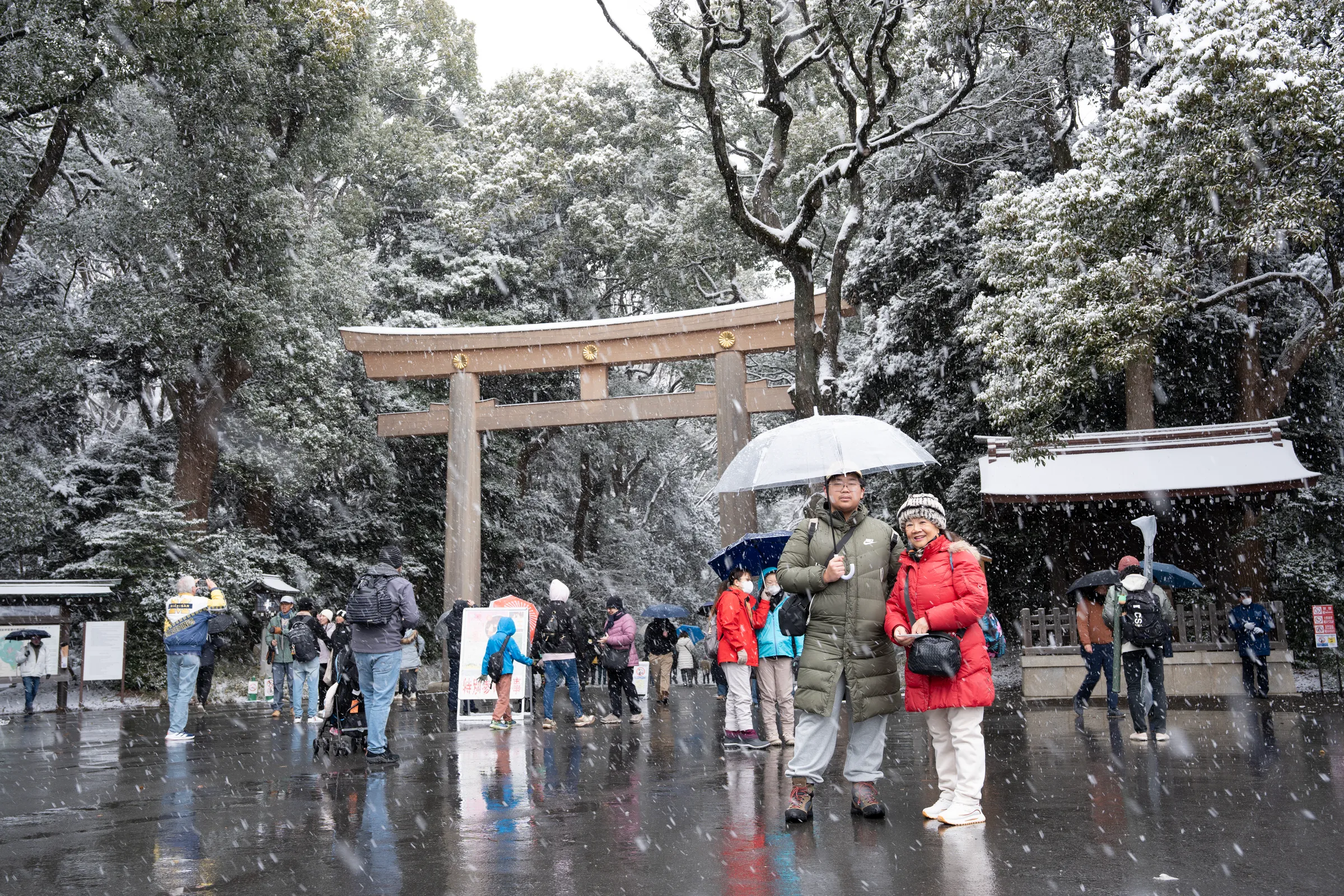 东京大雪与富士山下的一天