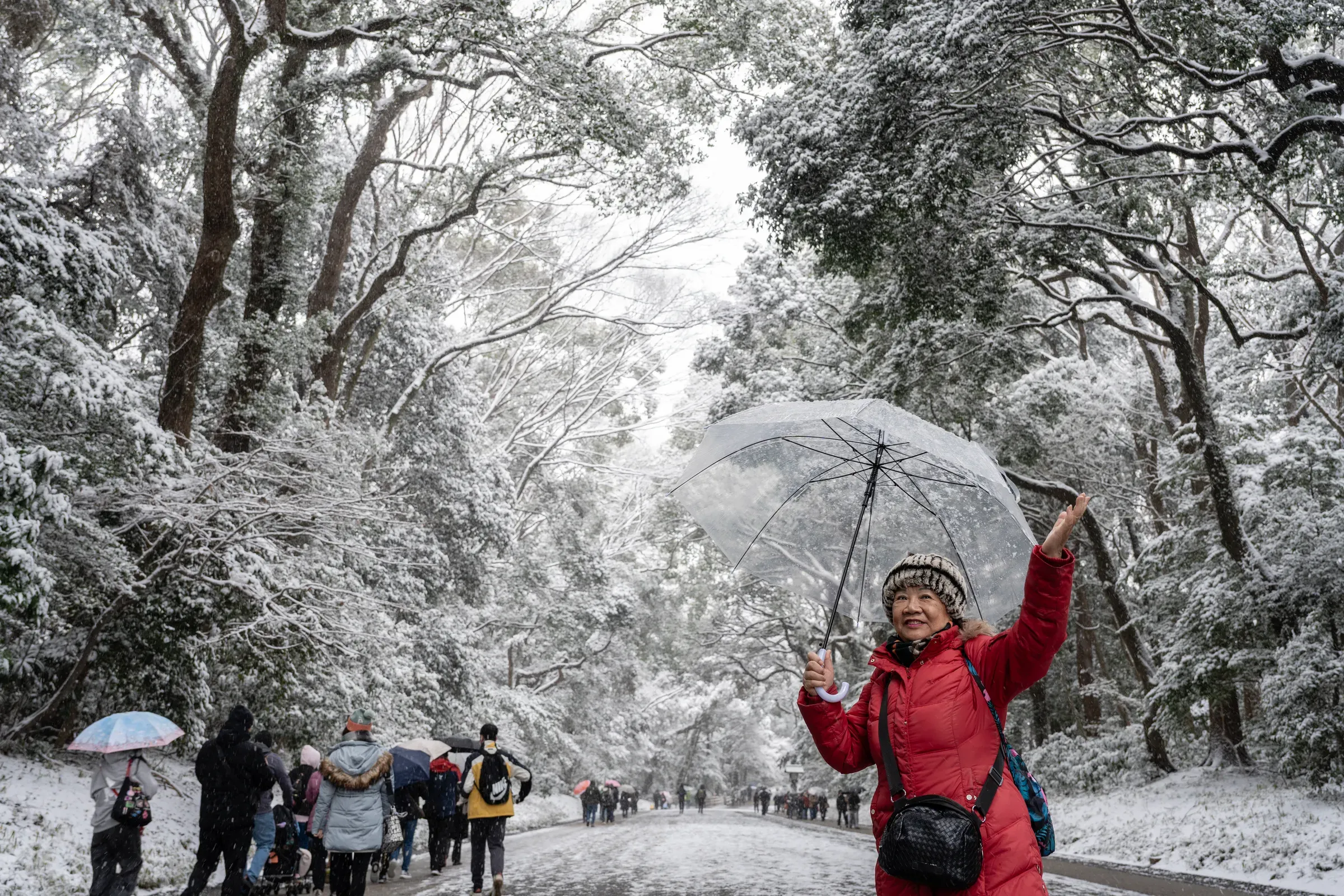 参道两旁的雪景，树枝被压得很低