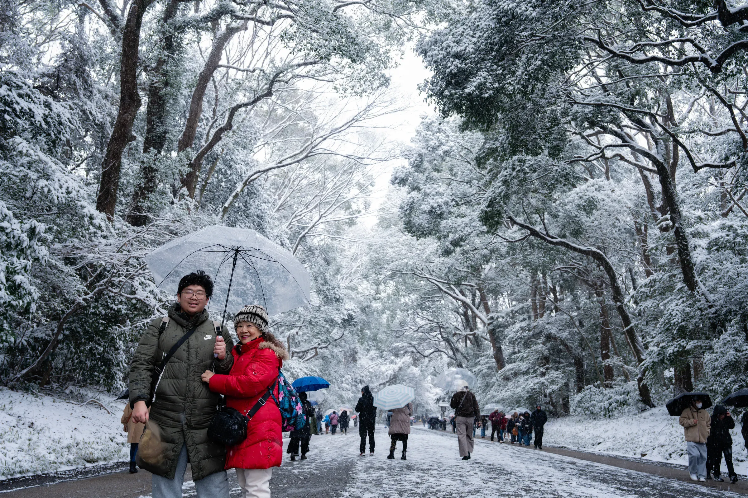 雪中的参道，有种水墨画的安静
