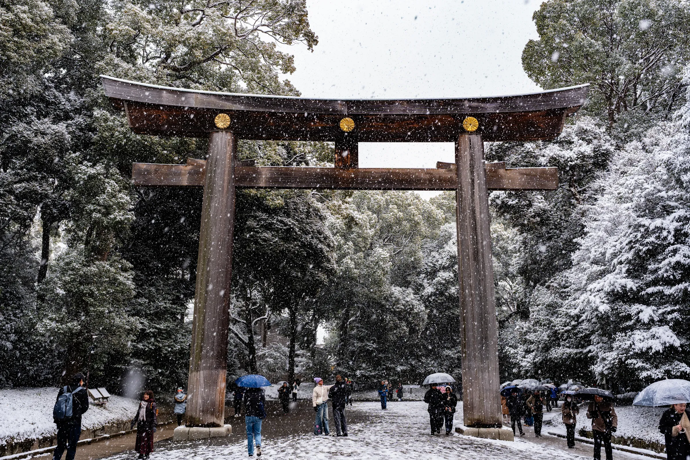来参拜的游客，每个人都被雪景吸引住了