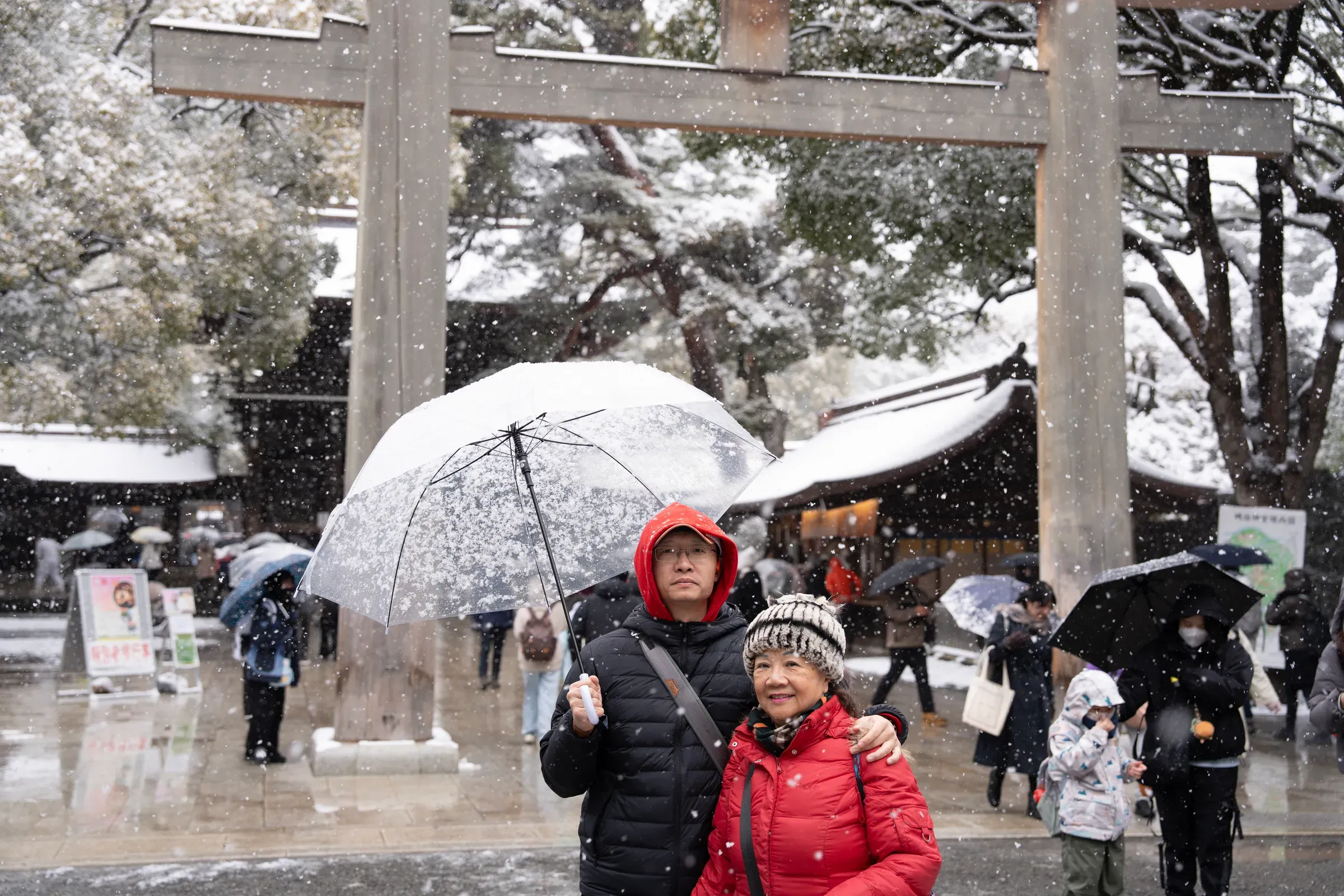 参道旁的古树，见证了百年的时光