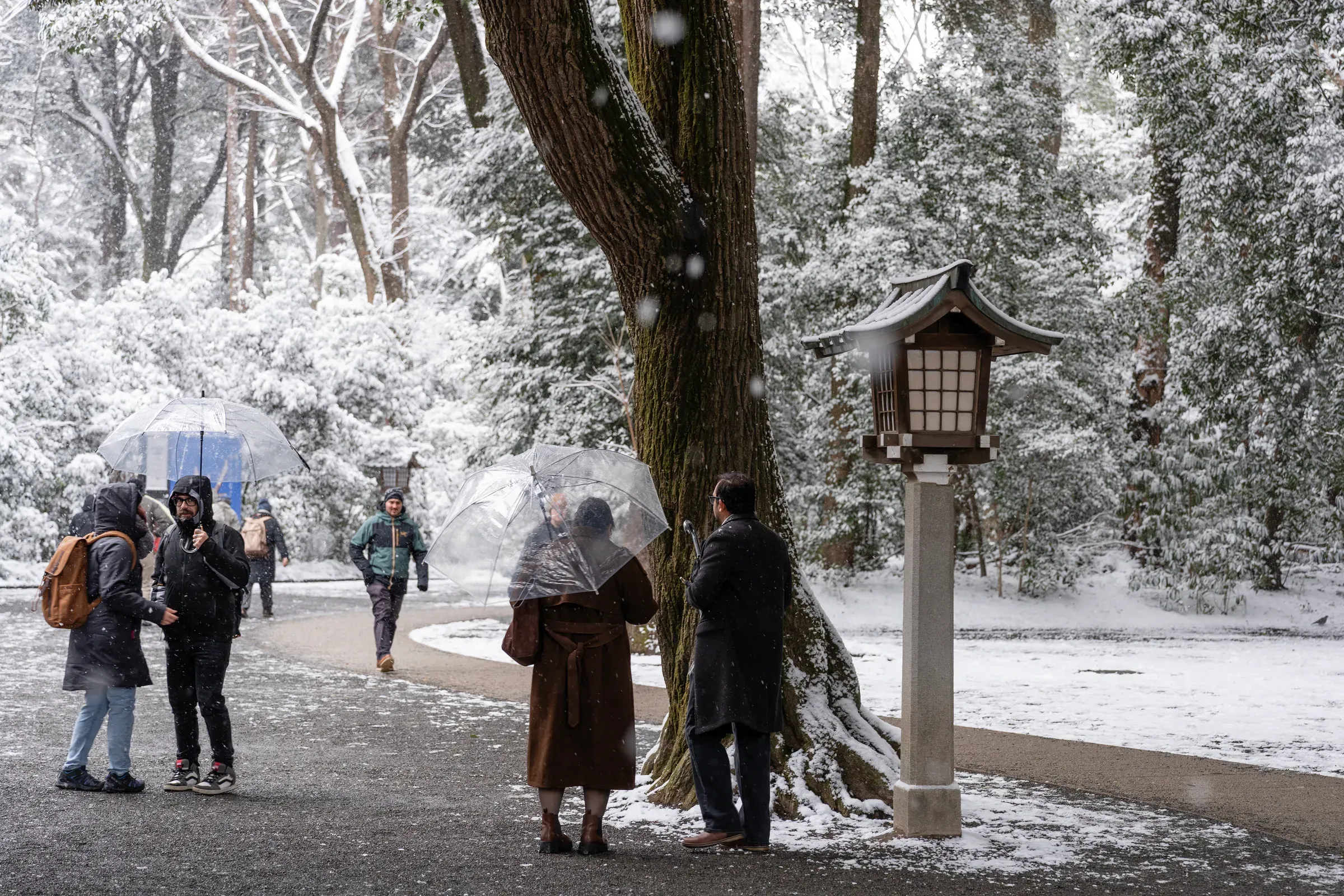 雪中的参道，灯笼和树影交错