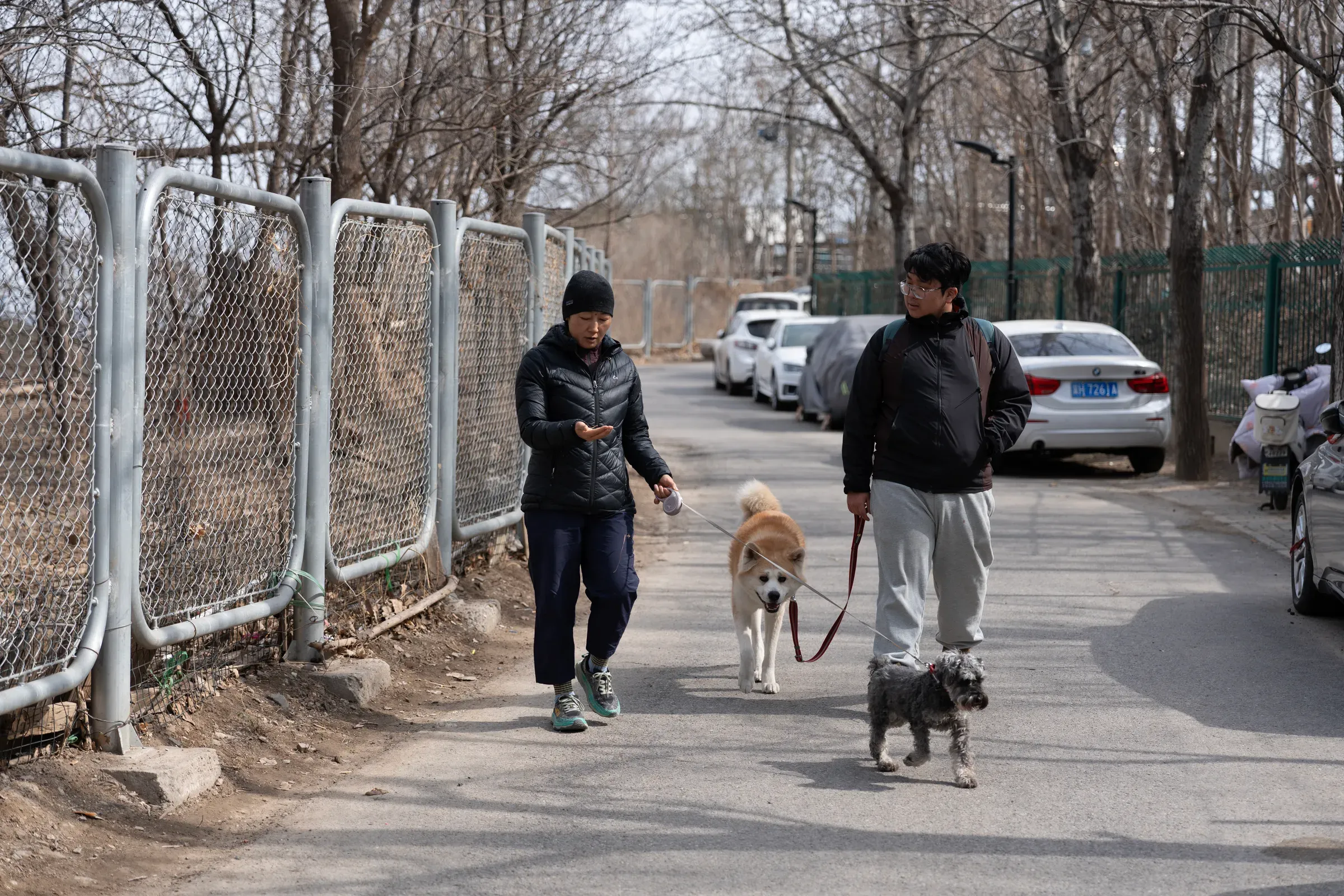 出发，两人两狗整装待发
