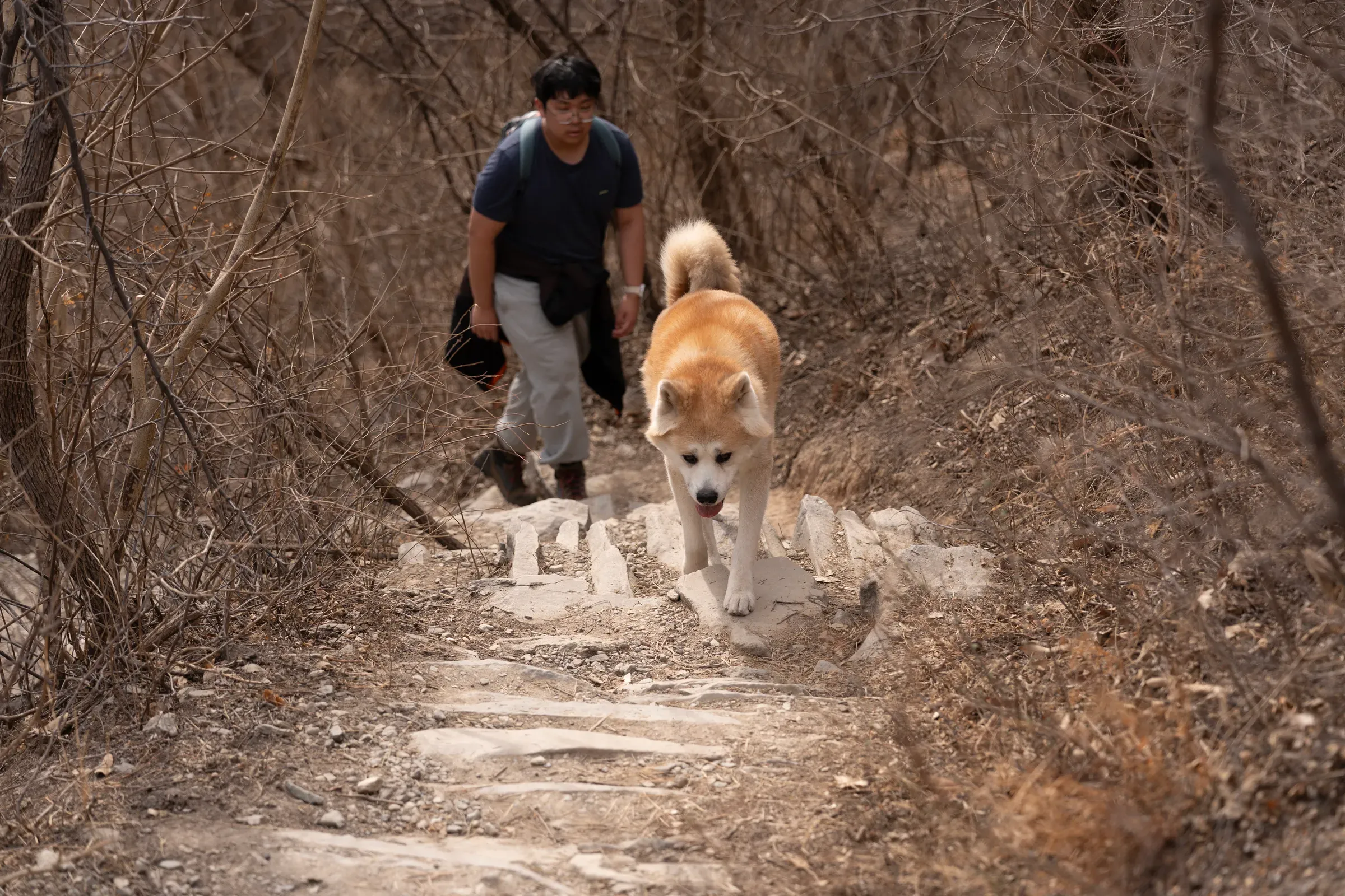 大牛领路，我紧随其后