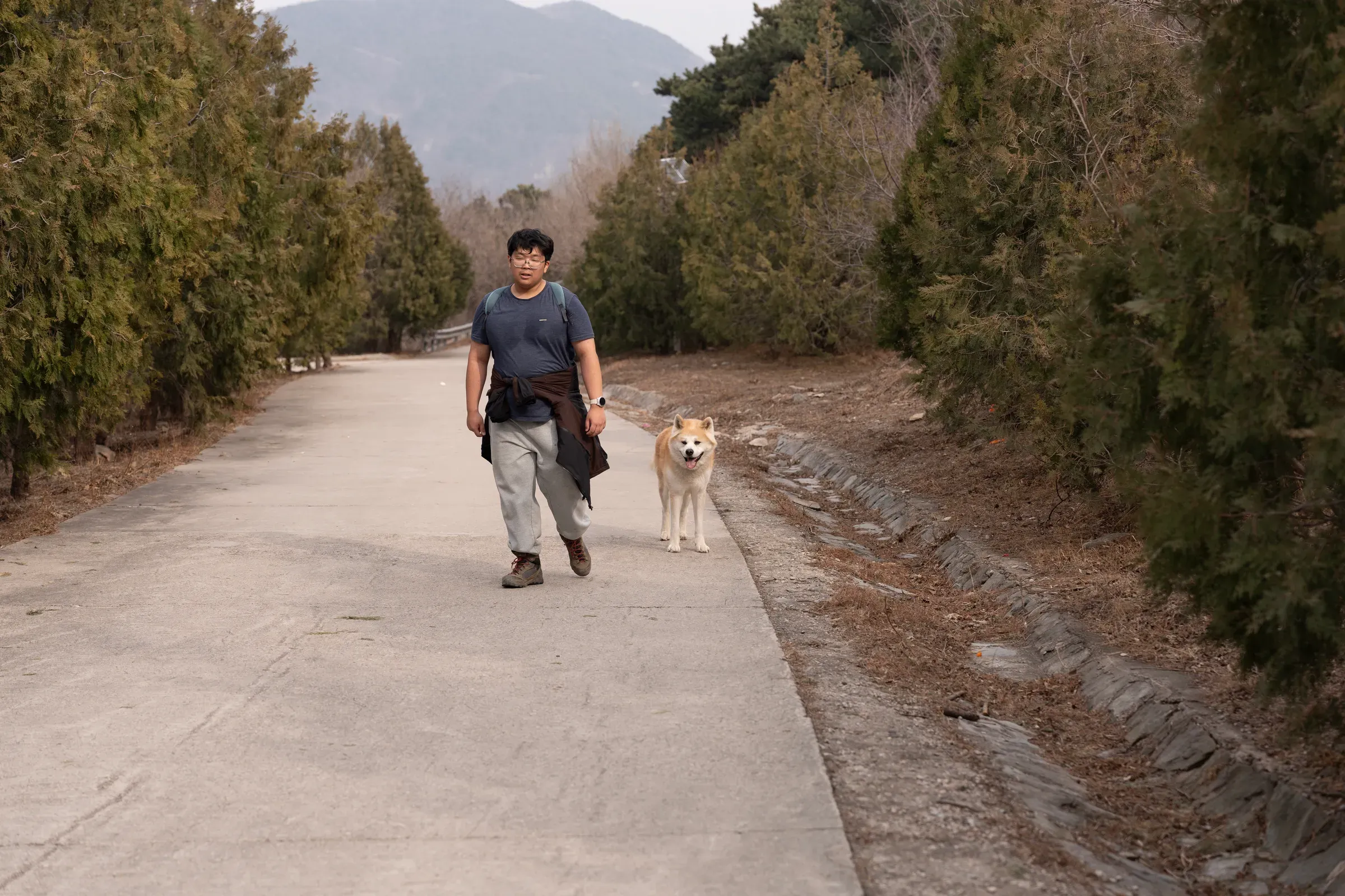 大牛和儿子在宽路上散步