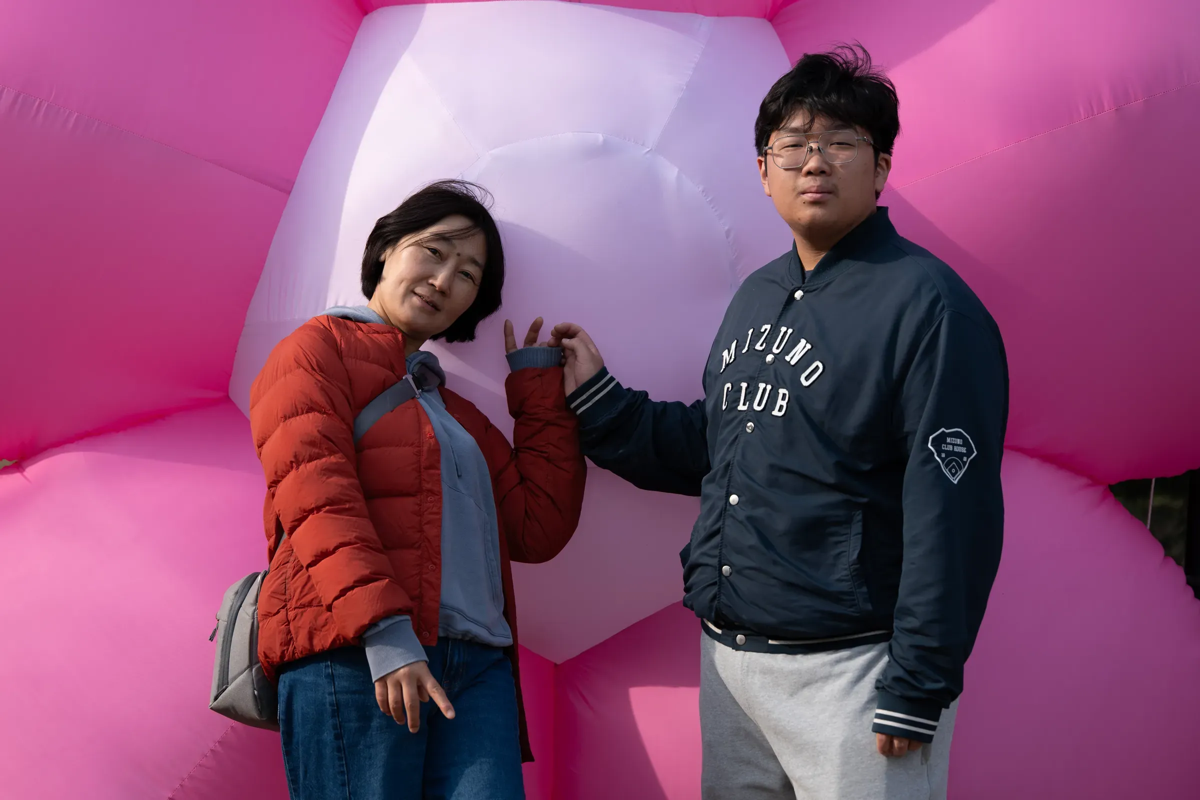 粉色花朵装置前